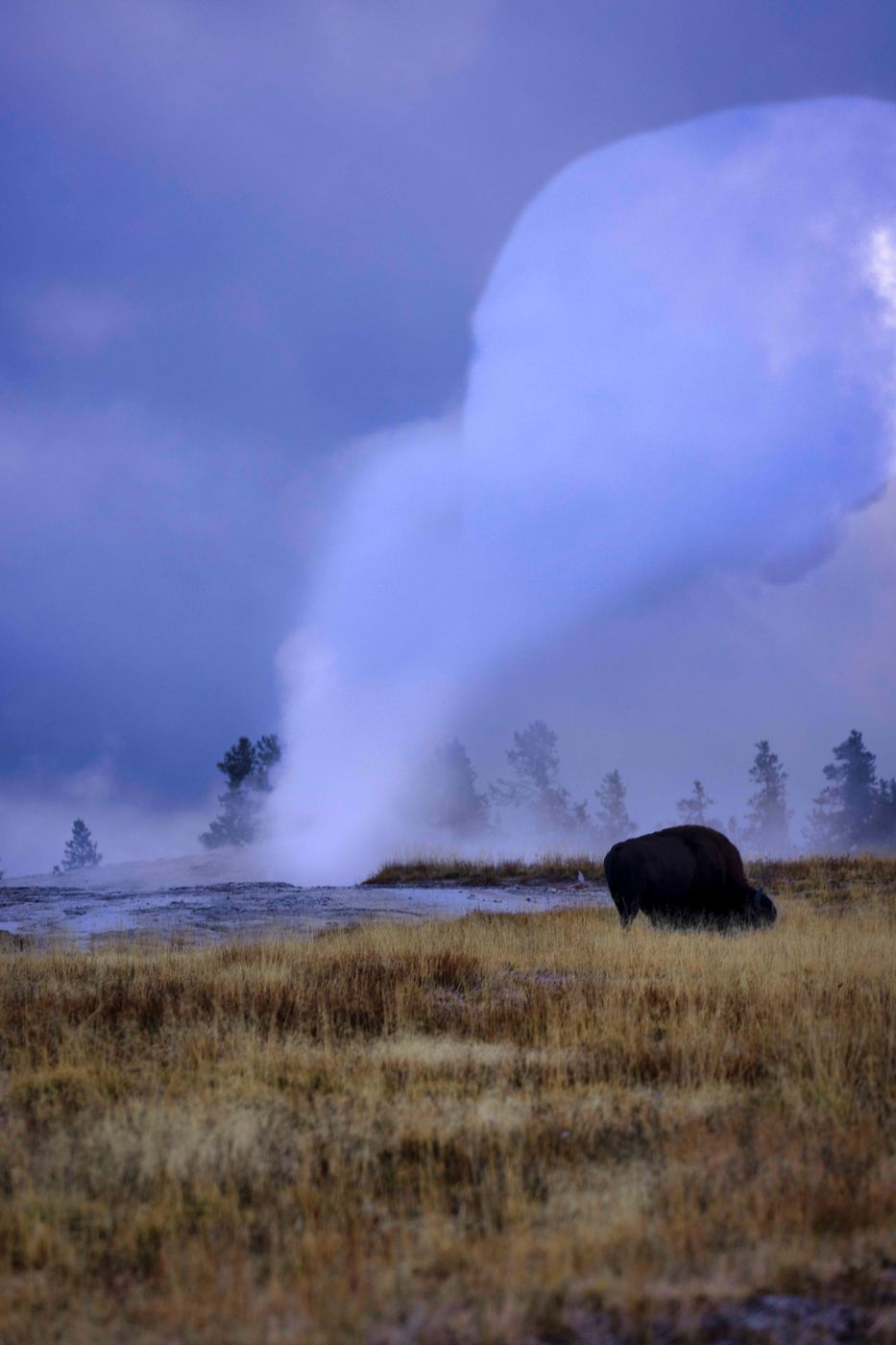 Old Faithful, USA