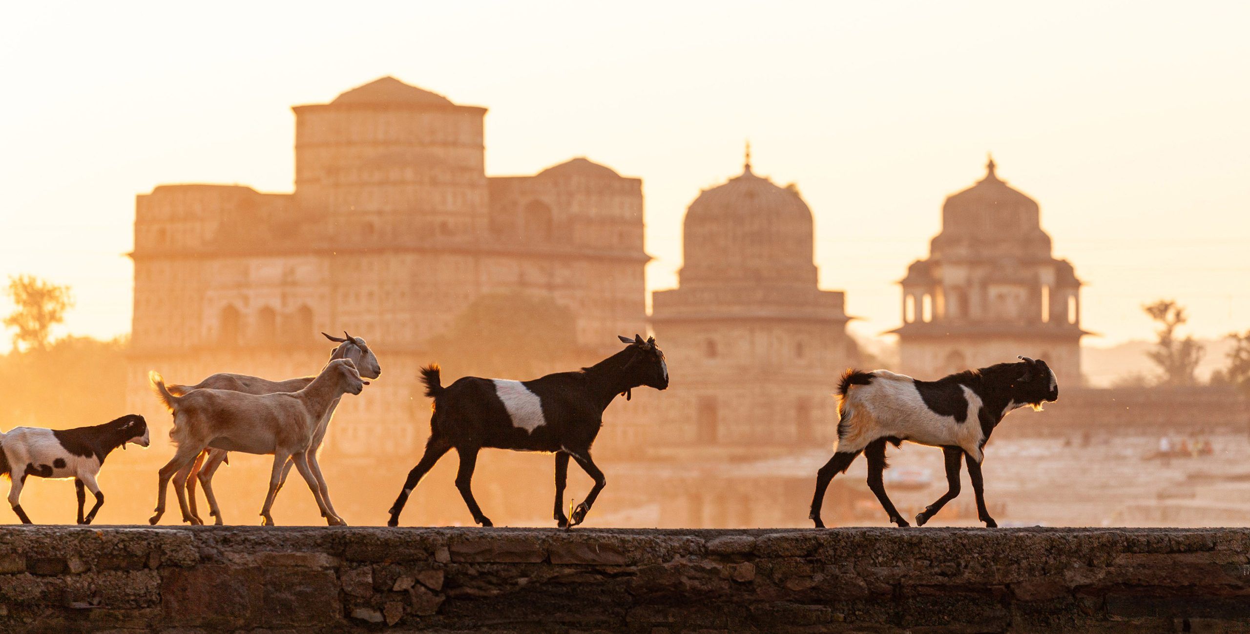 Orchha, India