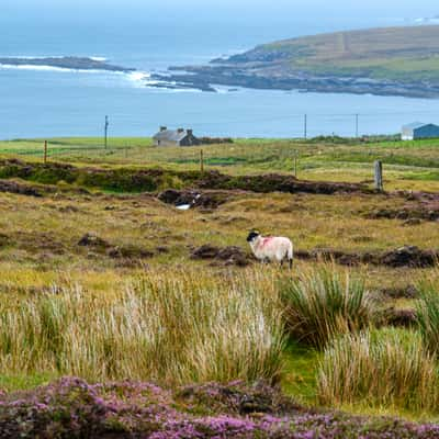 Porturlin Shore, Ireland