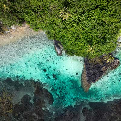 Samoa Giant Clam Sanctuary, Samoa