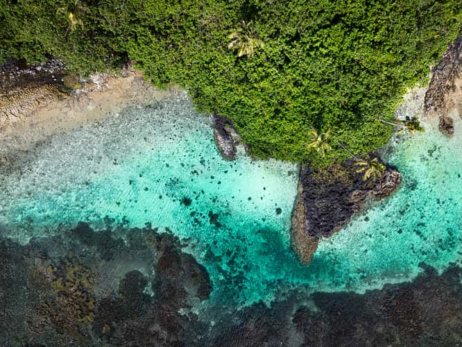 Samoa Giant Clam Sanctuary