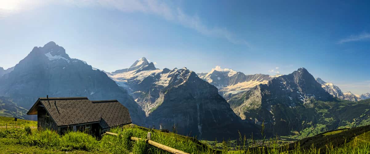 Schreckhorn from Grindelwald First
