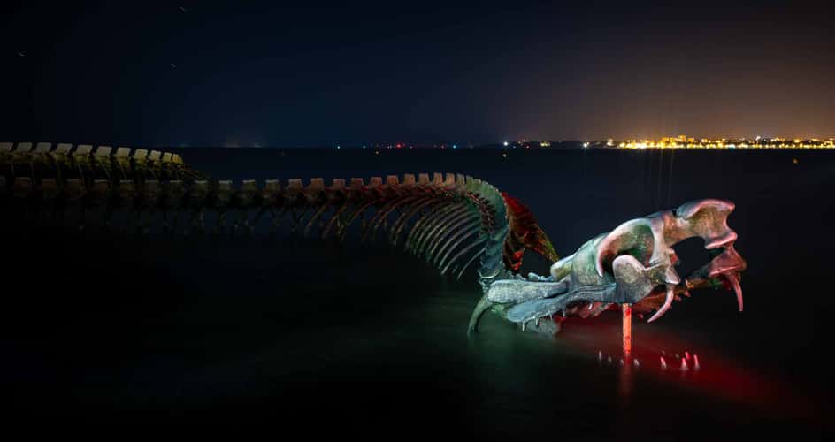 Serpent of the Ocean