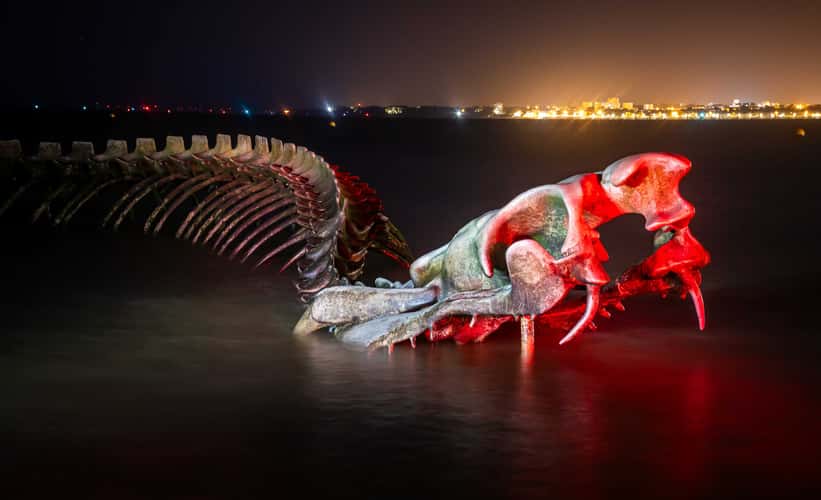 Serpent of the Ocean