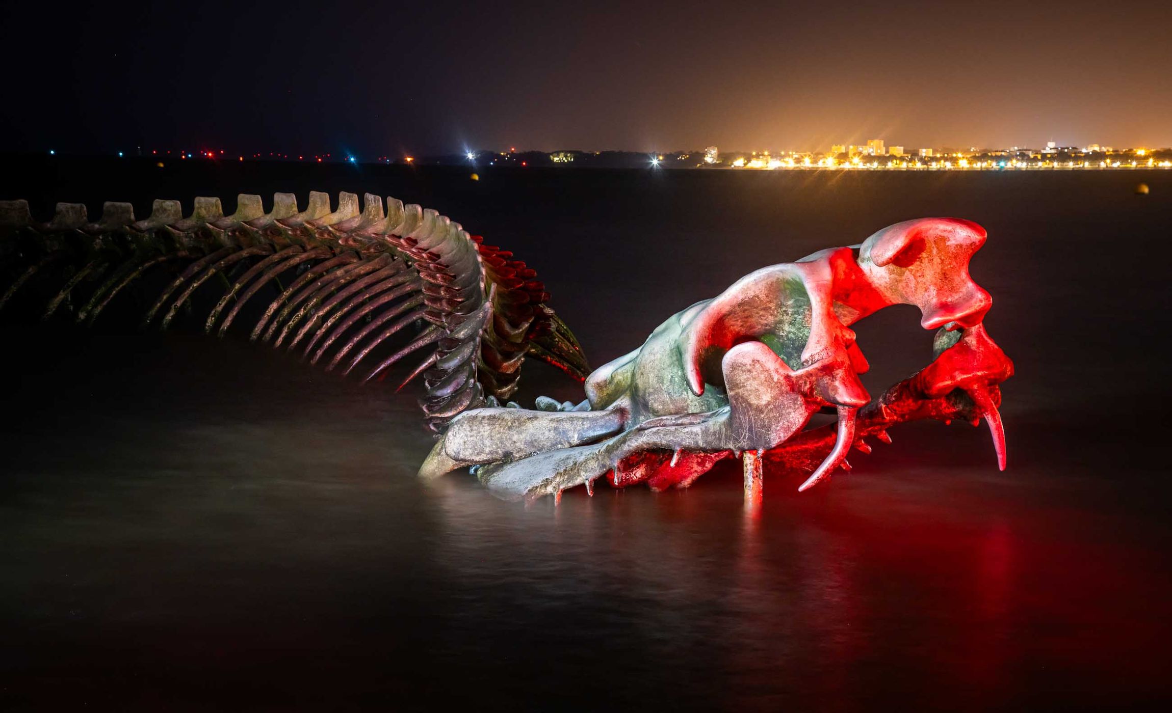 Serpent of the Ocean, France