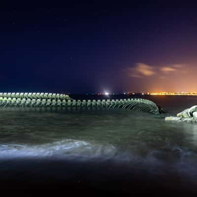 Serpent of the Ocean, France