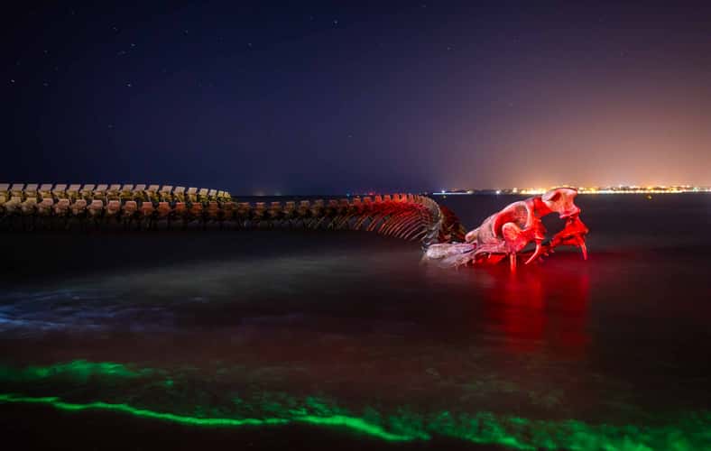 Serpent of the Ocean