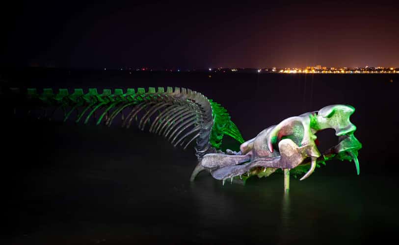 Serpent of the Ocean