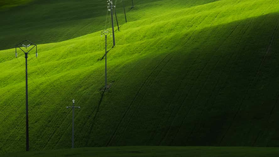 Spring fields of Val d'Orcia