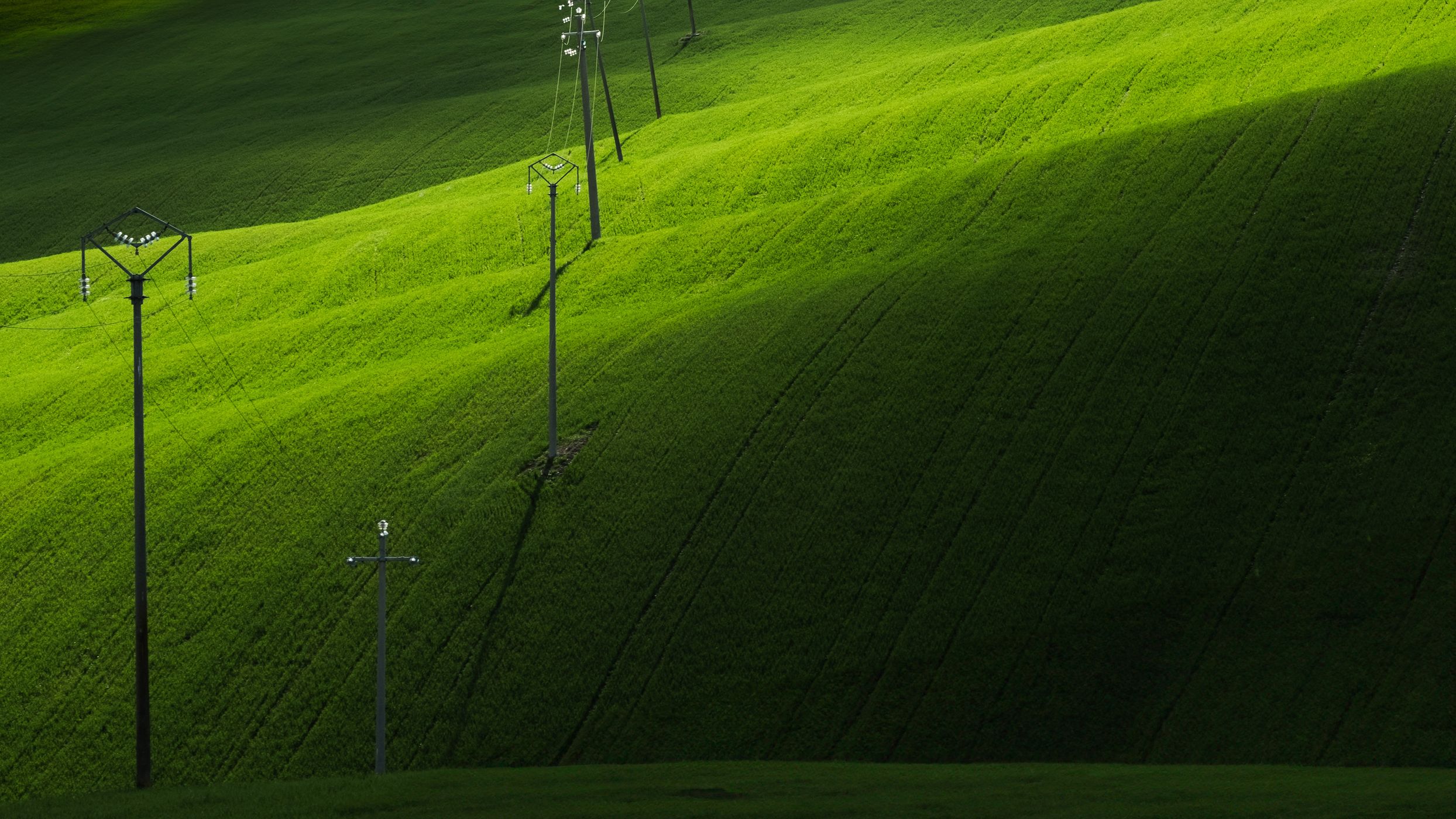 Spring fields of Val d'Orcia, Italy