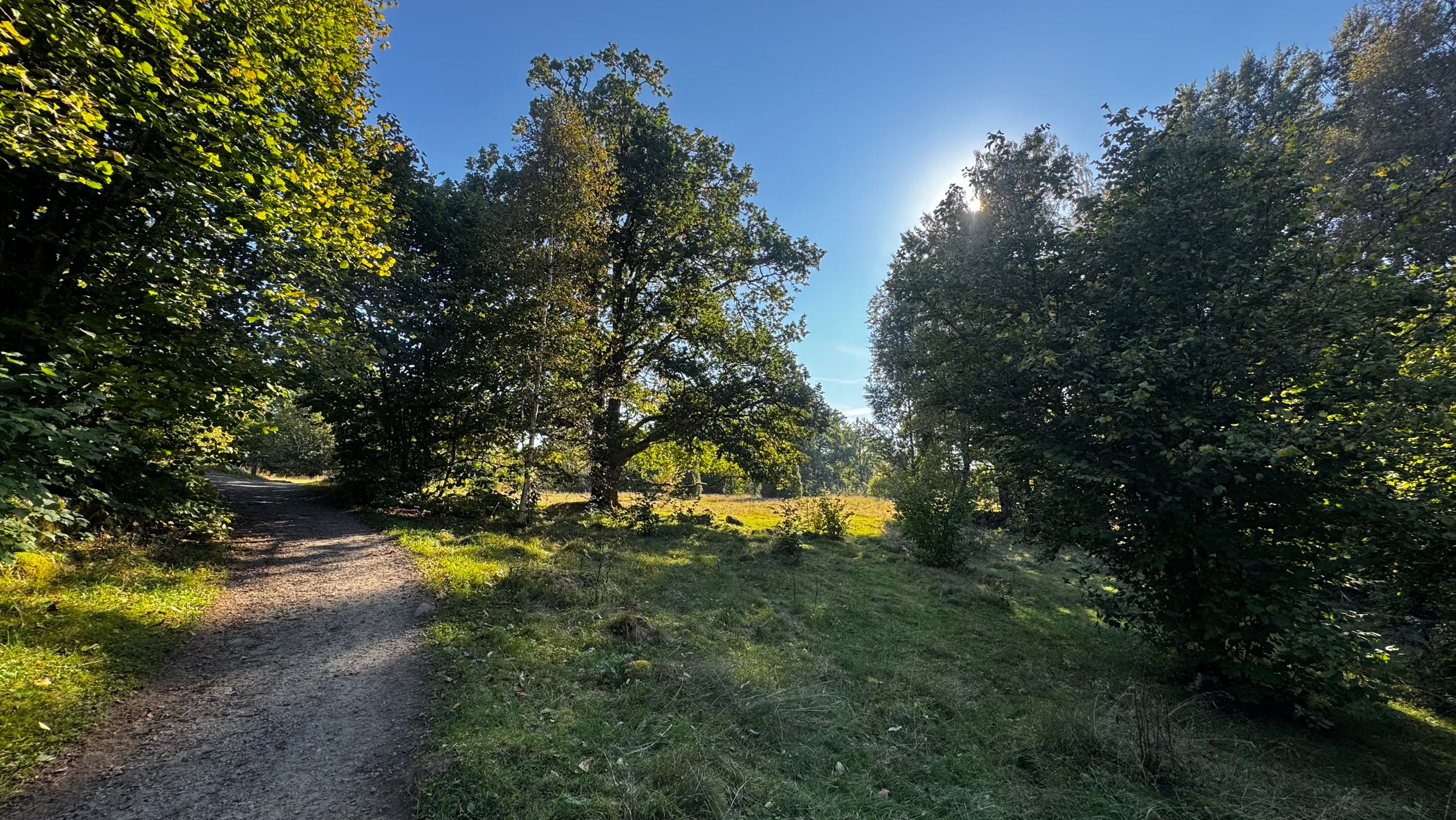 Svänö Rastuga, Kävsjön runt at Store Mosse Nationalpark, Sweden