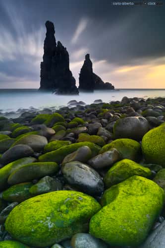 The Guardians, Ribeira da Janela 