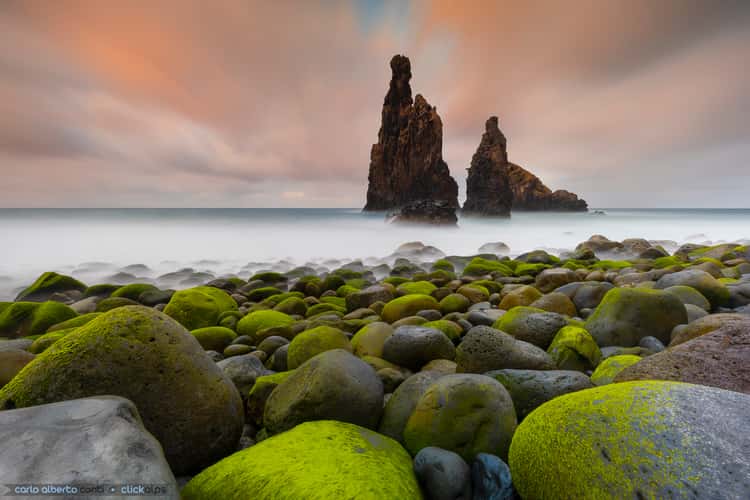 The Guardians, Ribeira da Janela 