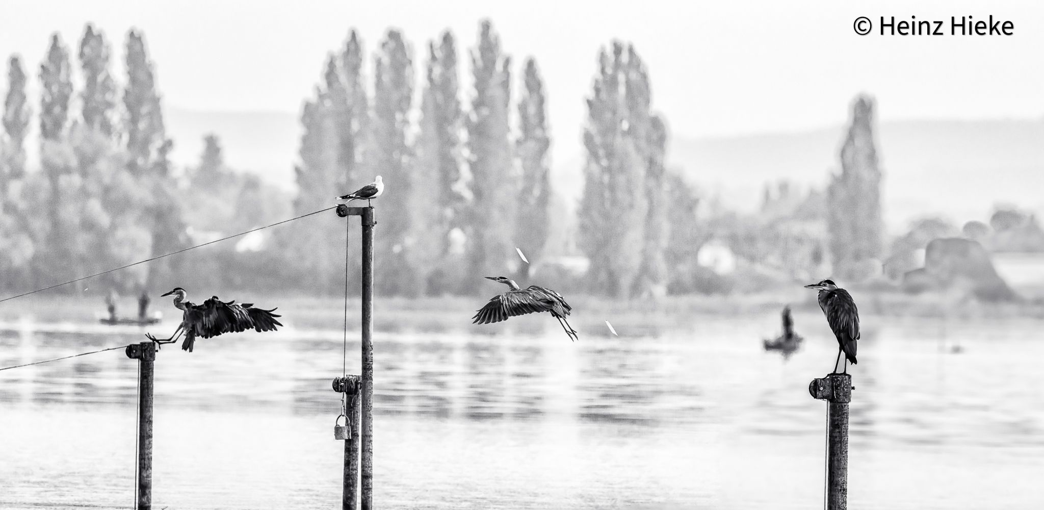 Untersee, Switzerland