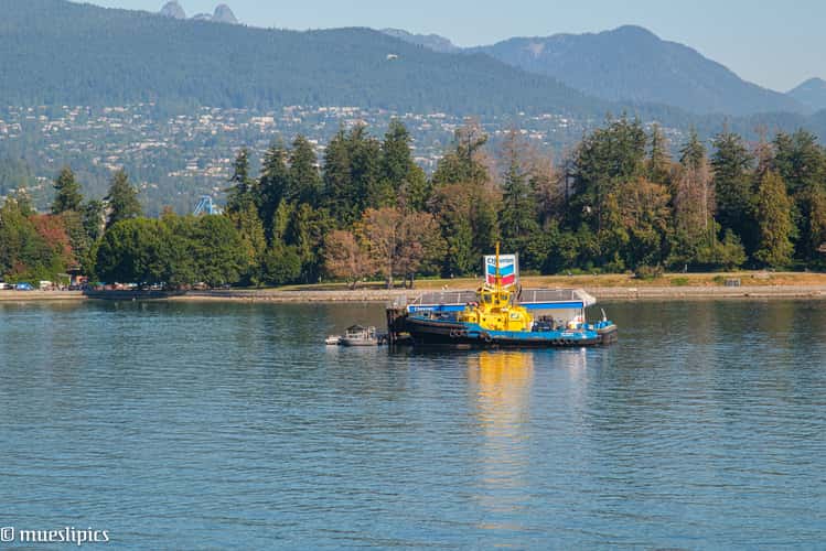 Vancouver Harbour Seaplanes