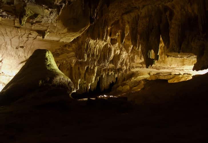 Waipu Cave entrance