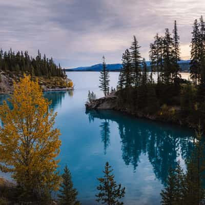 Abraham Cove Campsite, Abraham Lake, Canada