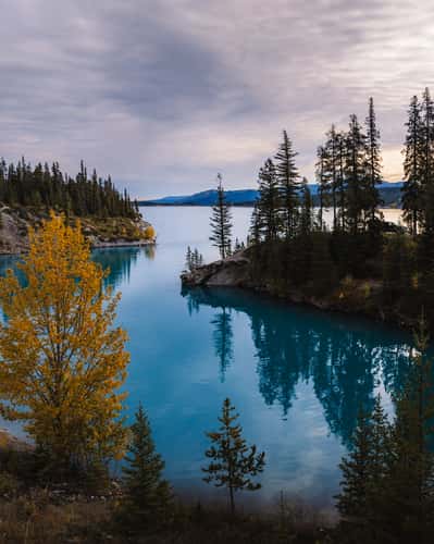 Abraham Cove Campsite, Abraham Lake