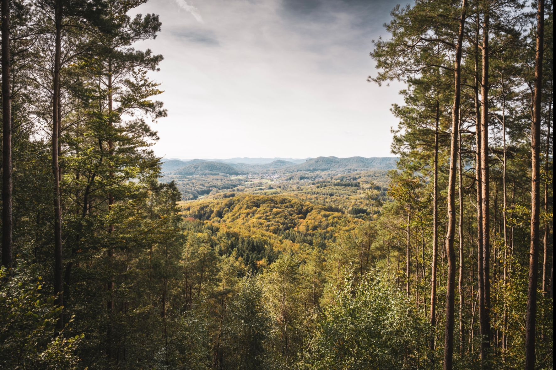 Aussichtsbank unterhalb Rehbergturm, Germany