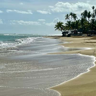 Beachfront alongside the Hotel Dreams Onyx, Dominican Republic