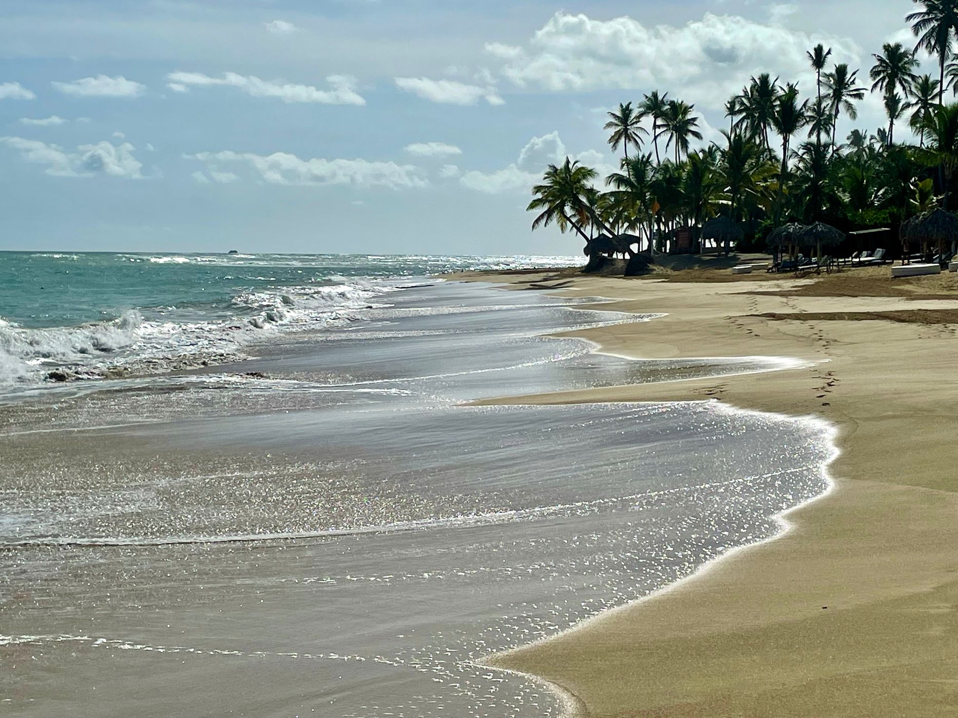 Beachfront alongside the Hotel Dreams Onyx, Dominican Republic
