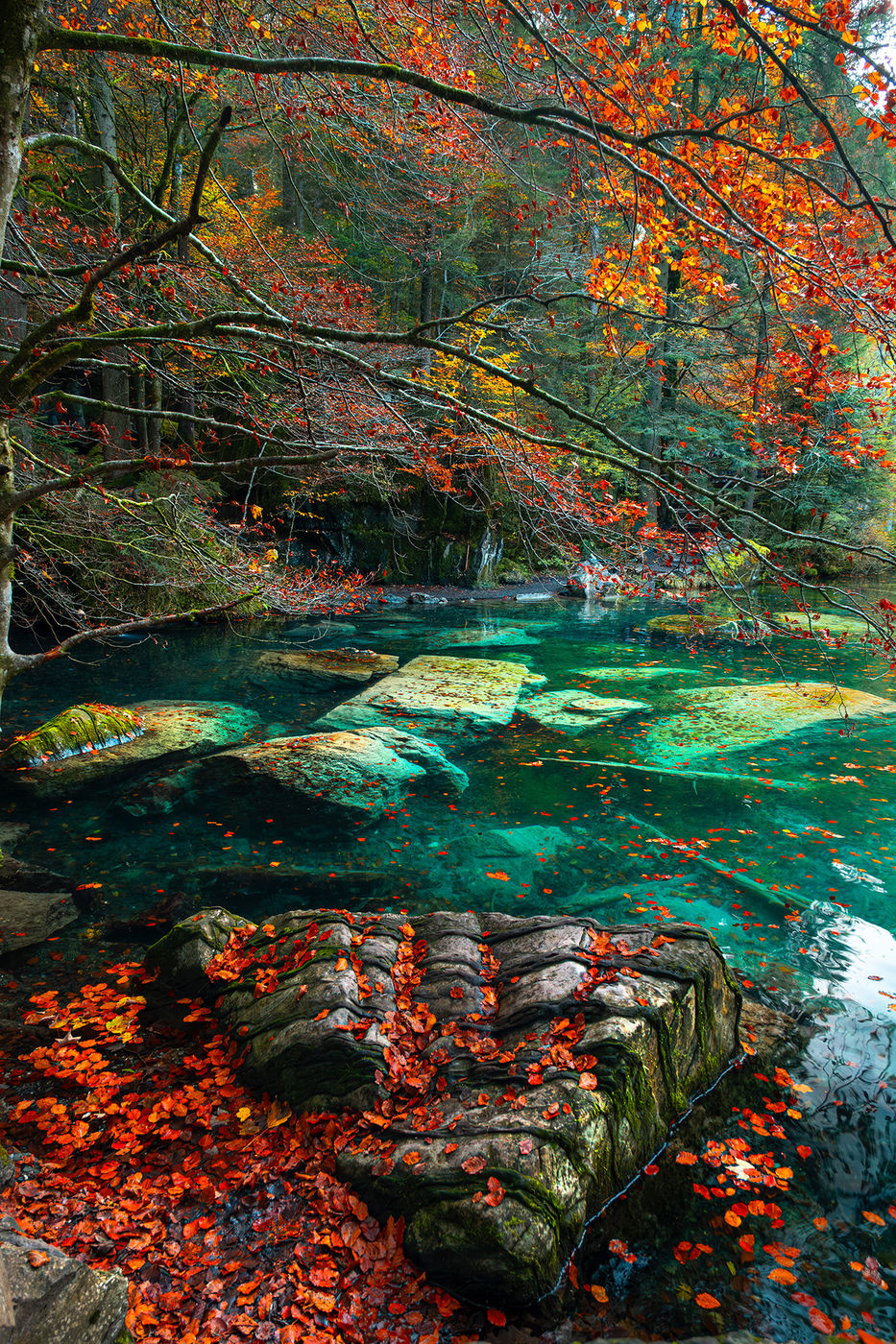 Blausee Lake, Switzerland