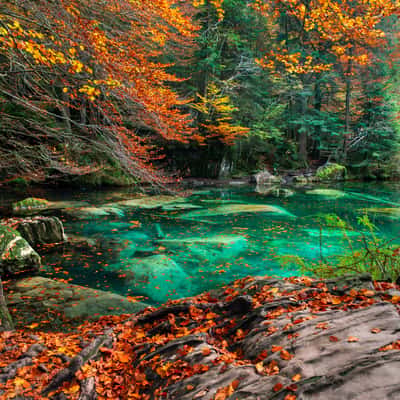 Blausee Lake, Switzerland