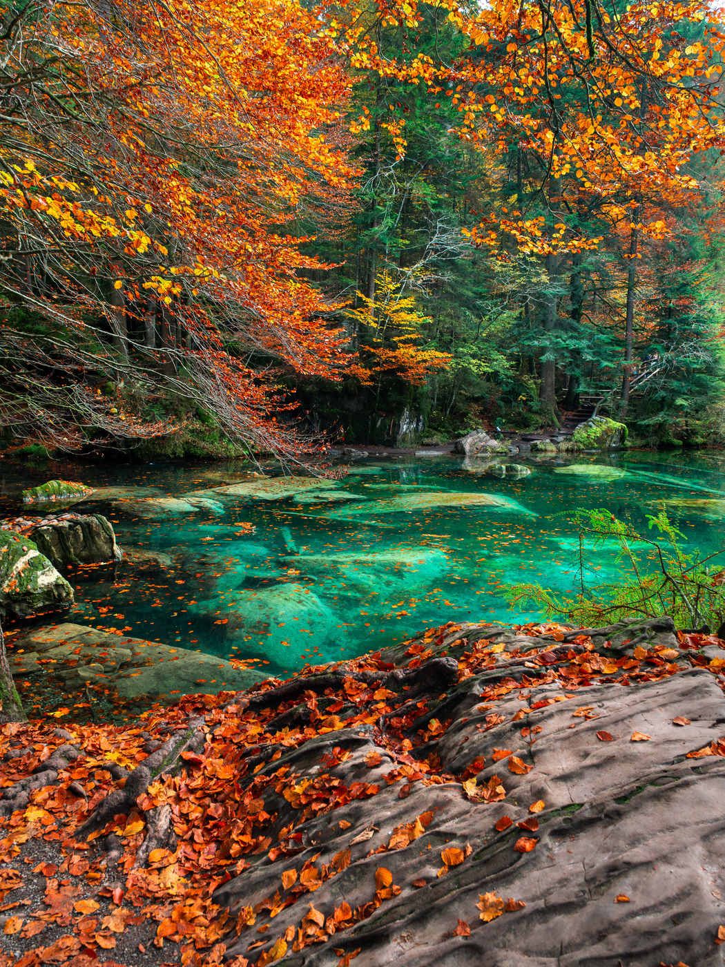 Blausee Lake, Switzerland