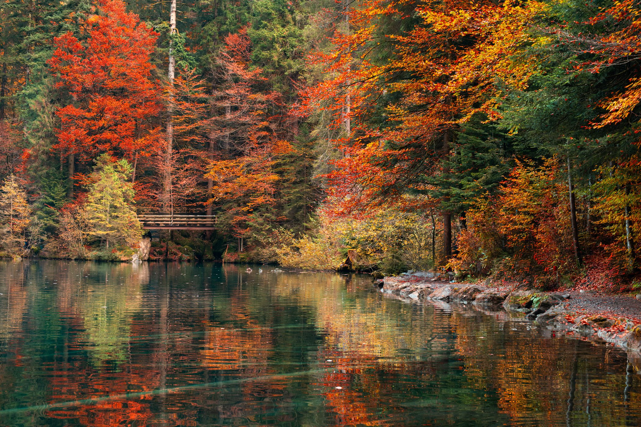Blausee Lake, Switzerland