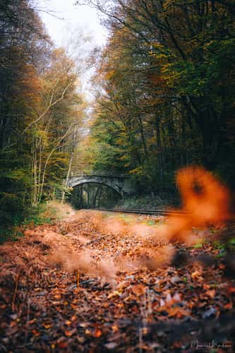 Bridge over Kasbachtalbahn