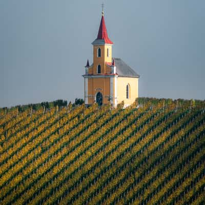 Wielitscher Kapelle in the vineyard, Austria