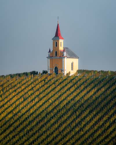 Wielitscher Kapelle in the vineyard