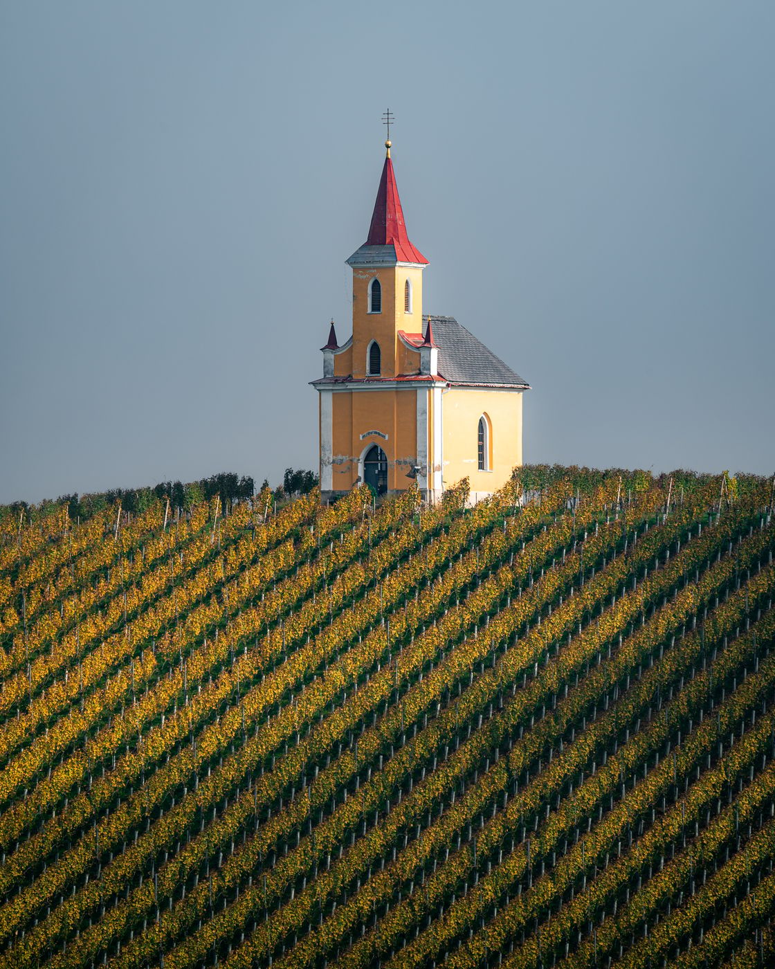 Wielitscher Kapelle in the vineyard, Austria
