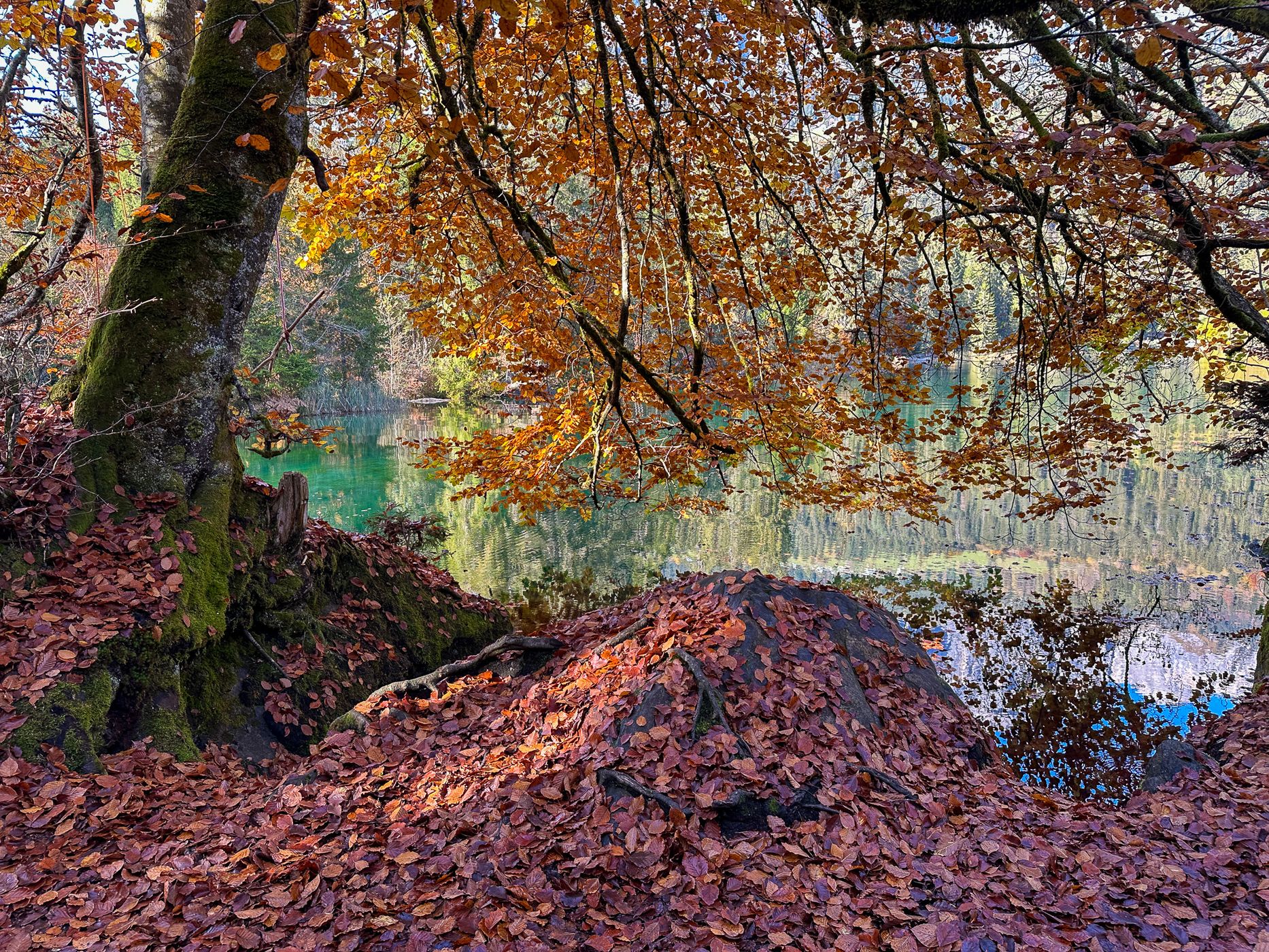 Crestasee, Switzerland