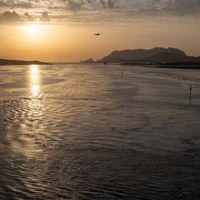 Ferry arrival Olbia Sardinia, Italy