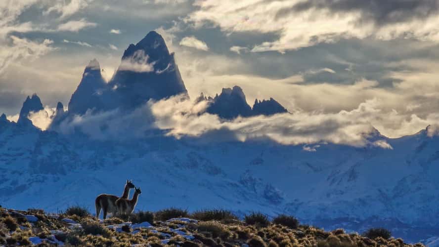 Fitz Roy with friends