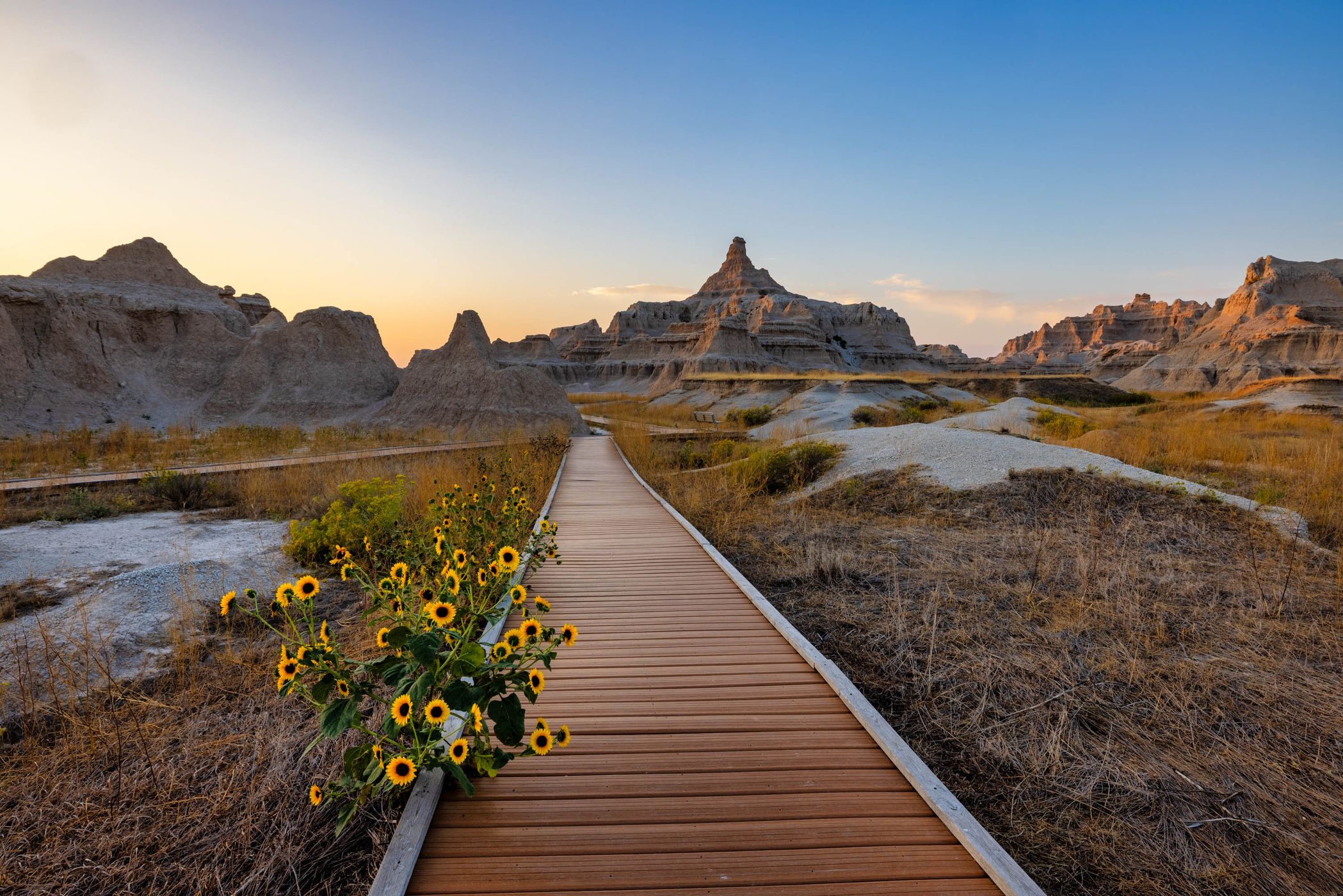 Fossil Exhibit Trail, Badlands National Park, Wall, SD, USA