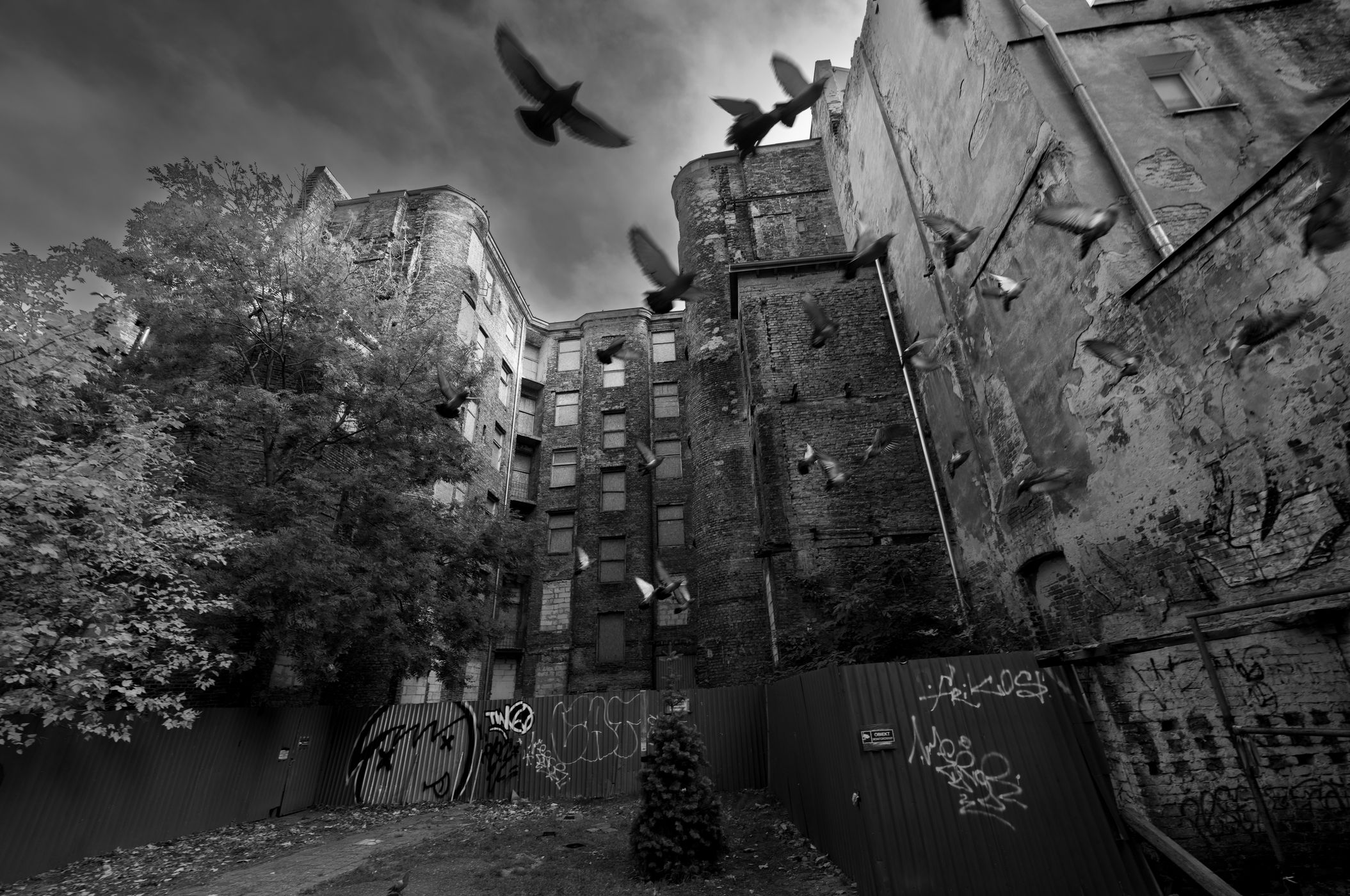 Ghetto warsów, Poland