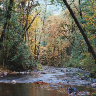 Goldstream Park - Victoria BC, Canada