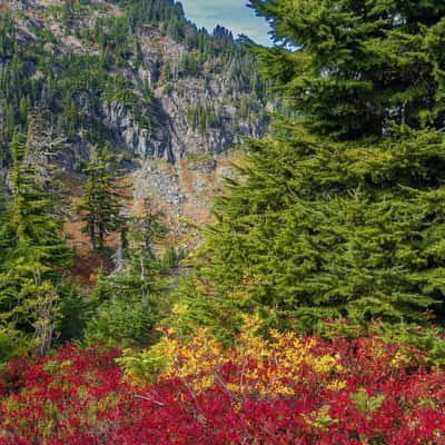 Heather Meadows, USA