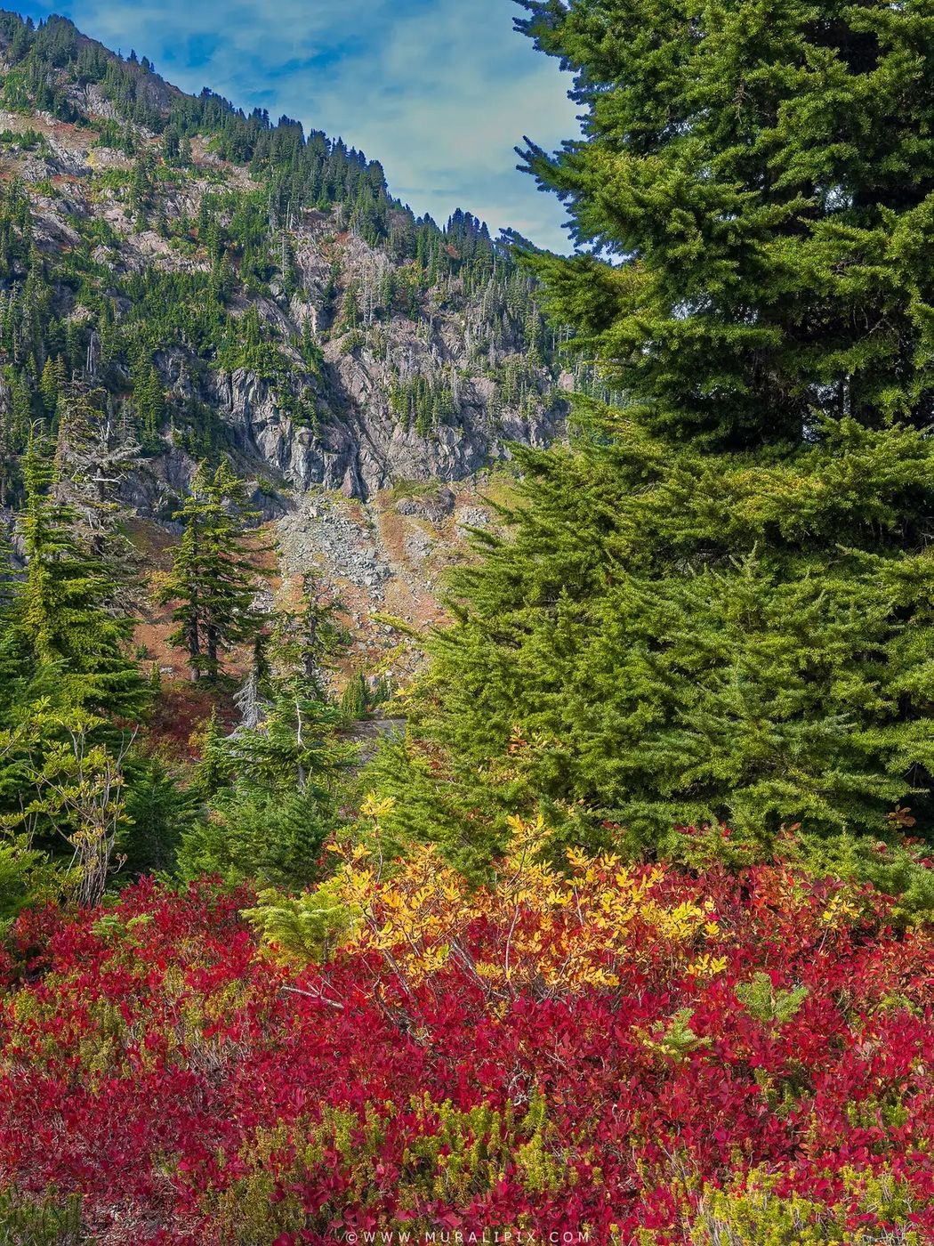 Heather Meadows, USA