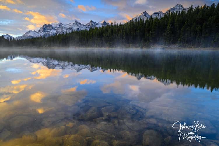 Herbert Lake