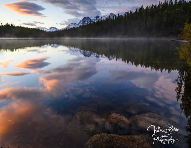 Herbert Lake