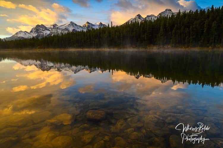 Herbert Lake
