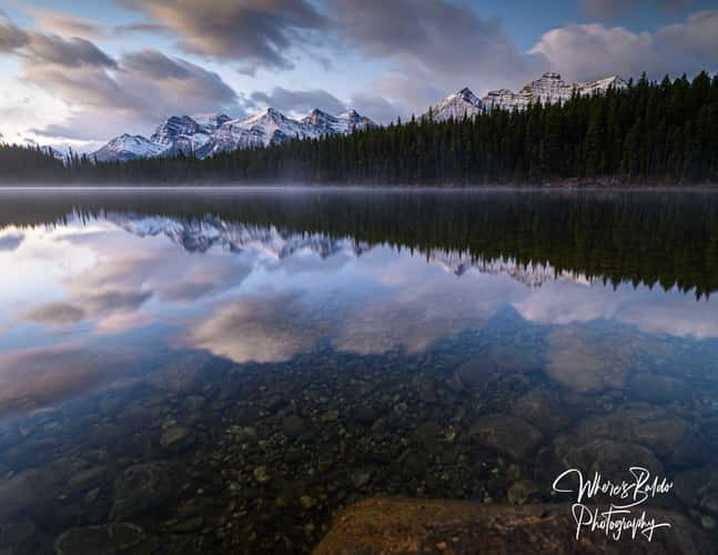 Herbert Lake