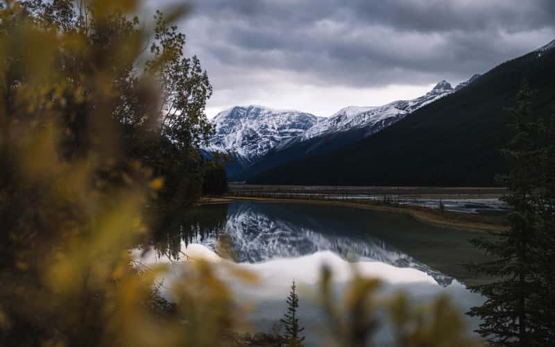Icefield Parkway, Close to Stutfield Glacier