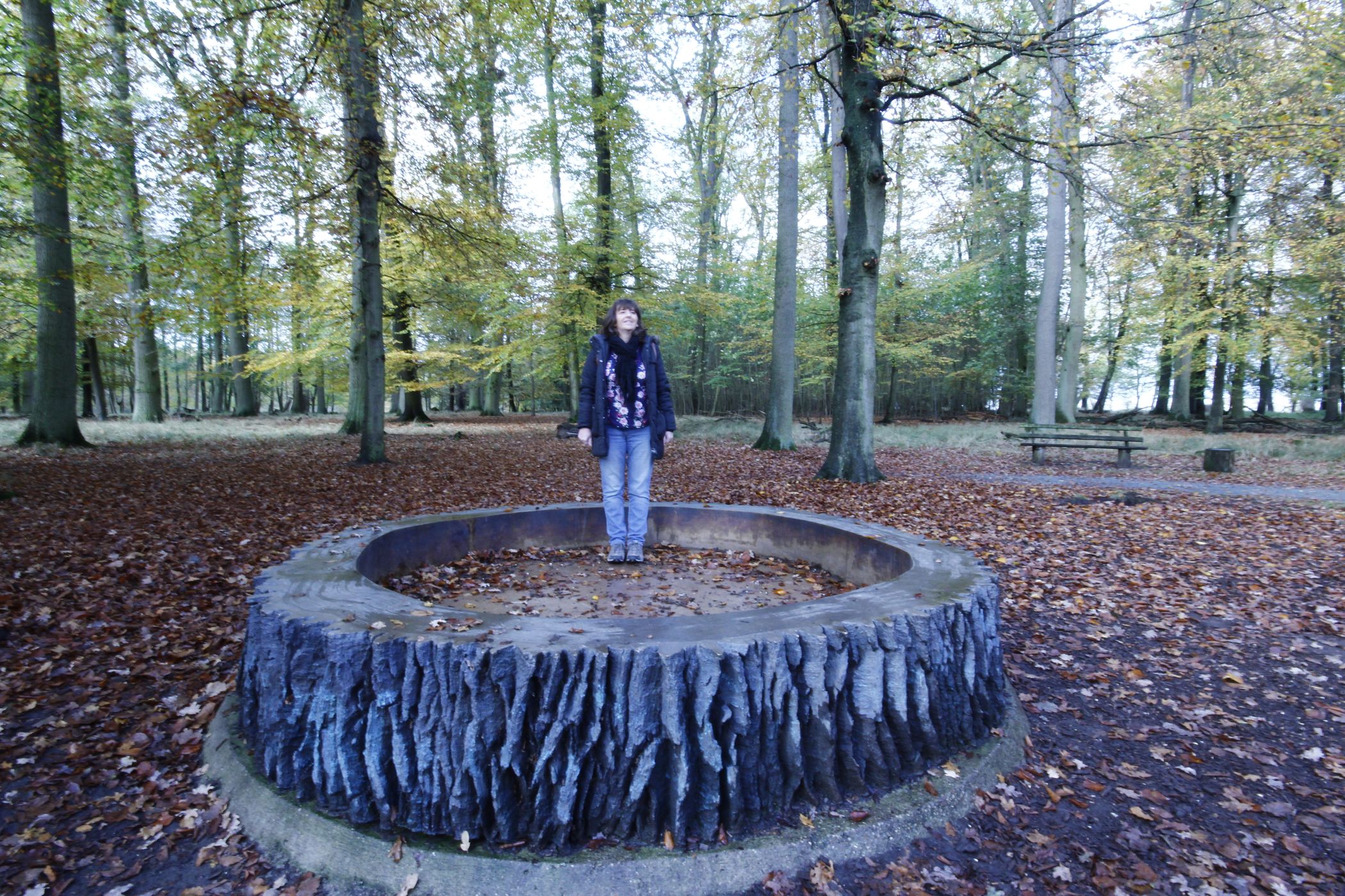 Ivenacker Eichen (Ivenack Oaks), Germany