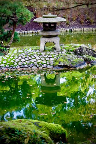 Japanese Garden, Bonn