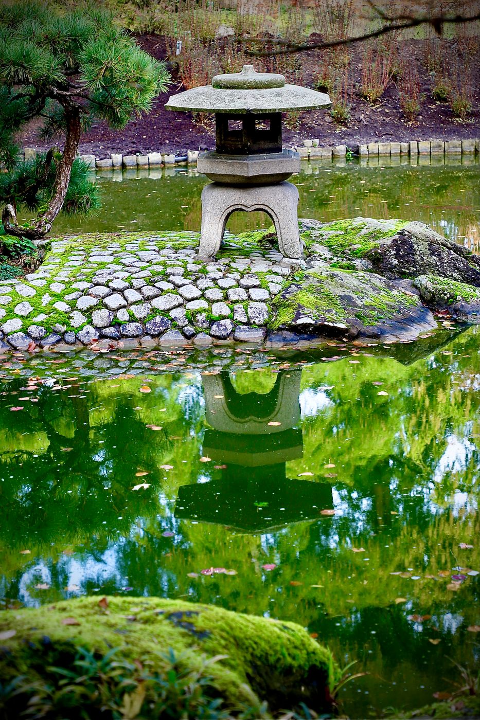 Japanese Garden, Bonn, Germany
