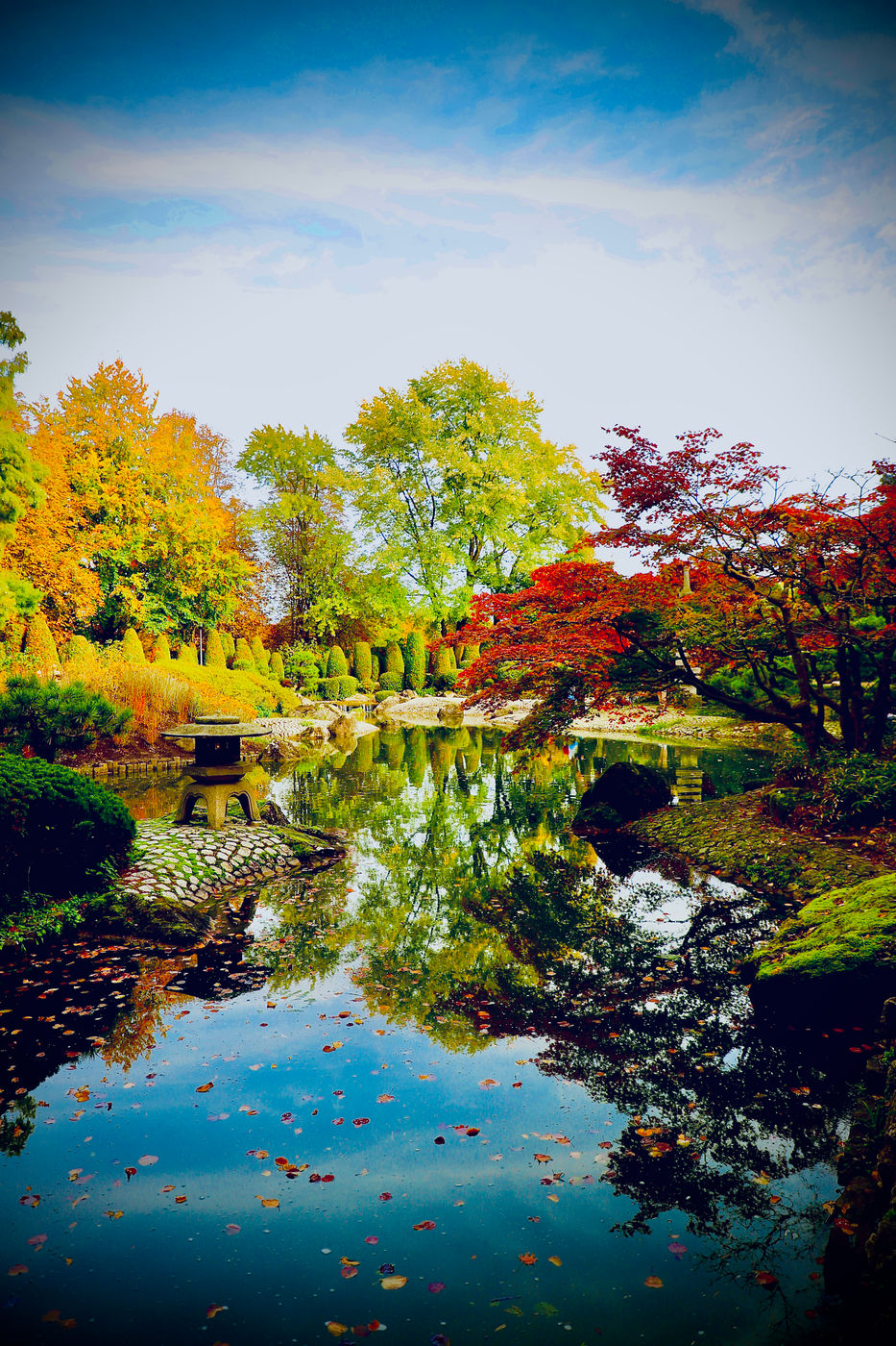Japanese Garden, Bonn, Germany